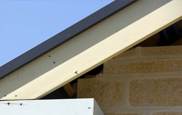 Mangerton fascia repairs