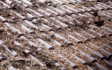 Mangerton roof cleaning companies