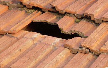 roof repair Mangerton, Dorset