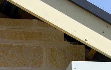 soffit repair Mangerton