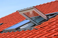 Mangerton roof window