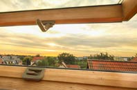 rated Mangerton roof window companies